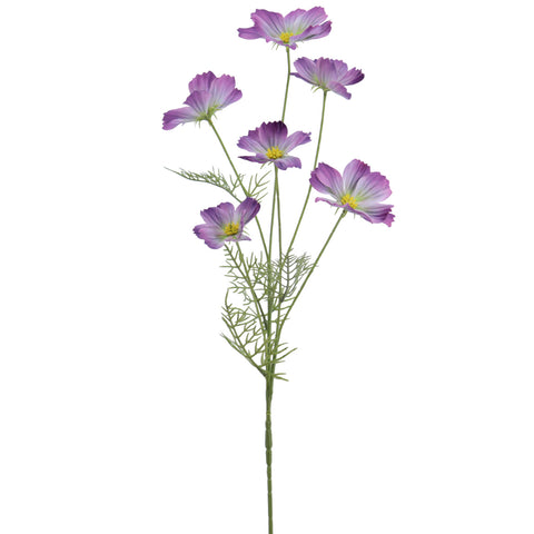 Rama Cosmos Verona 72cm Púrpura