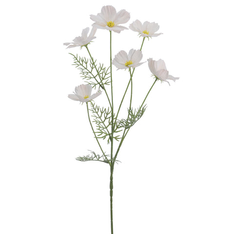 Rama Cosmos Verona 72cm Beige