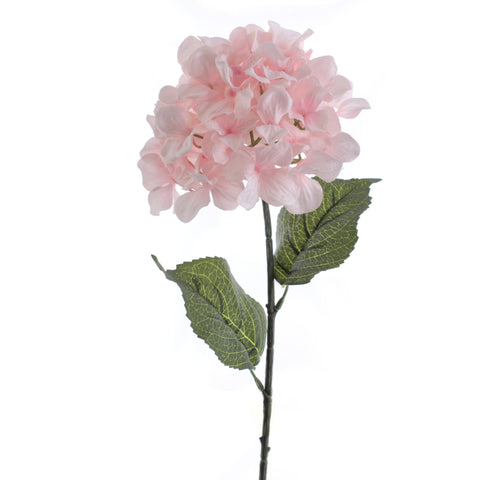 Rama Hydrangea Rosa