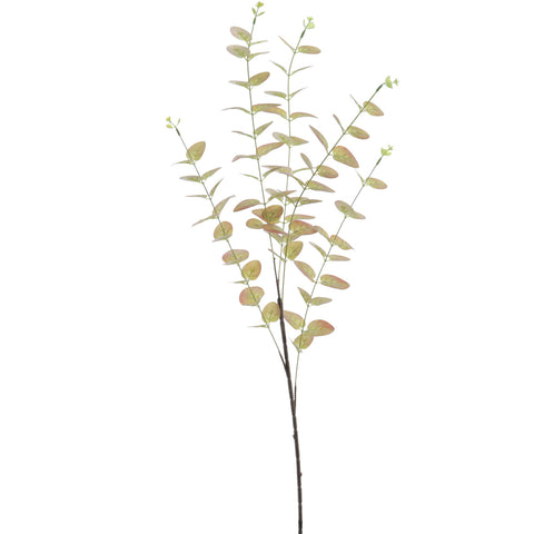 Rama Eucalyptus Verde/Rojo 90cm