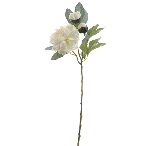 Rama Peonia Crema 64cm