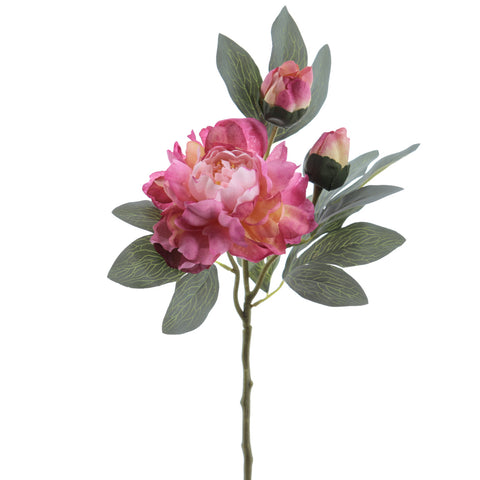 Rama Peonia Malva 64cm