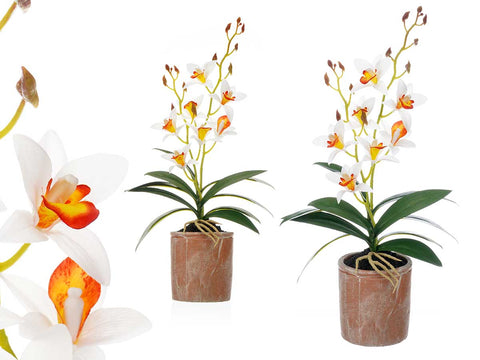 Maceta Terracota Flor Blanca Naranja