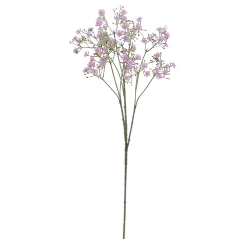 Rama Gypso 74cm Malva