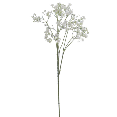 Rama Gypso 74cm Blanco