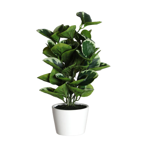 Planta Tapioca 17x17x34cm