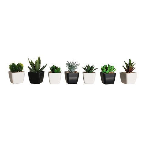 Planta Artificial Suculenta Decorativa 7cm