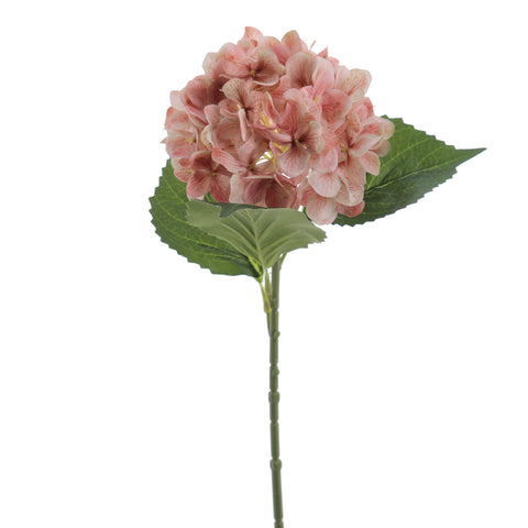 Branca Hydrangea Coral 65cm