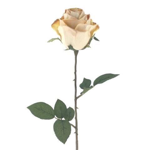 Rama Rosa Mostaza