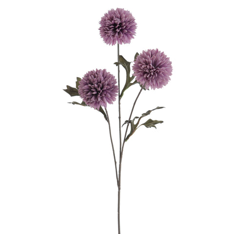 Rama Pom Pom x3