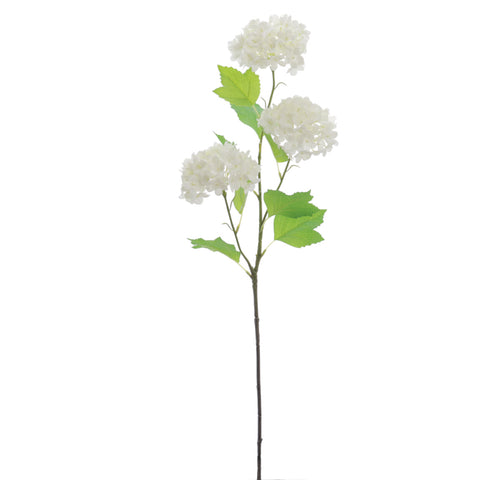 Rama Viburnum x3 68cm Crema