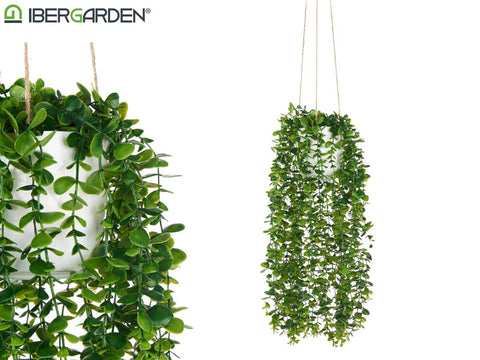 Maceta de Plástico Regadera para colgar Verde con Soga Ibergarden