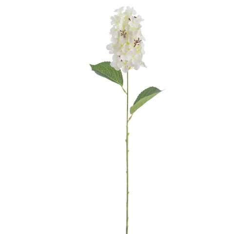 Hortènsia Crema