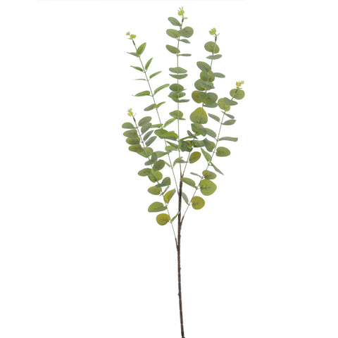 Rama Eucalyptus Verde 90cm