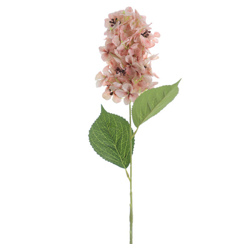 Hortènsia Beix