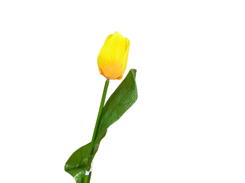 Rosa Rama Amarilla Peypa 60cm