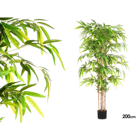 Maceta Bambú Mediana 200cm
