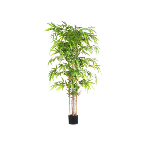 Maceta Bambú Mediana 200cm