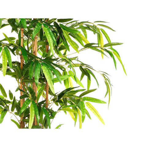 Maceta Bambú Mediana 200cm