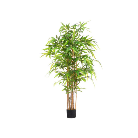 Maceta Bambú 170cm