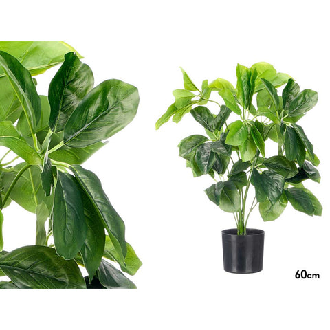 Maceta Planta Hojas Ovaladas 60cm