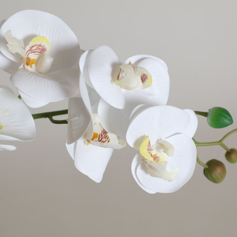 Planta Orquídea Blanca 30x13x45cm